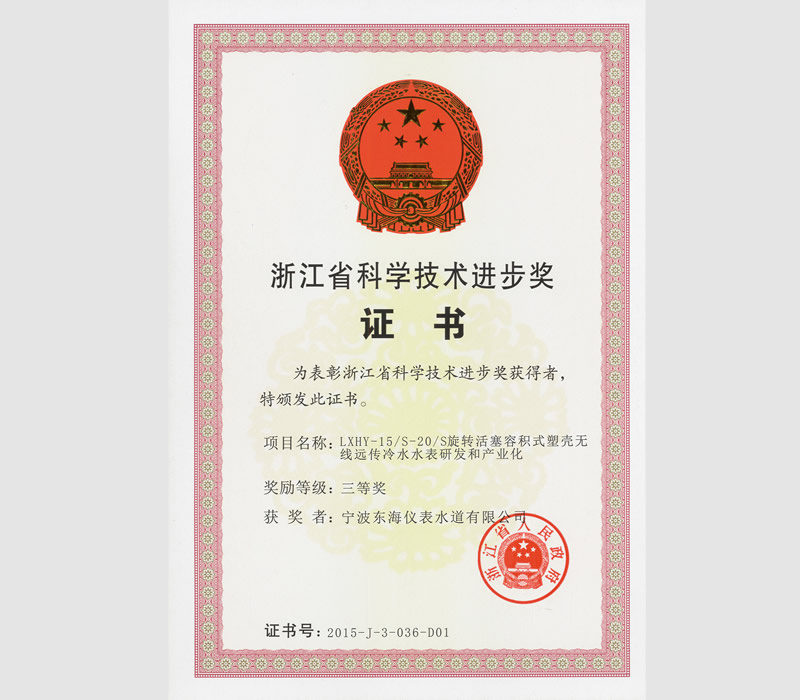 省科技进步奖三等奖